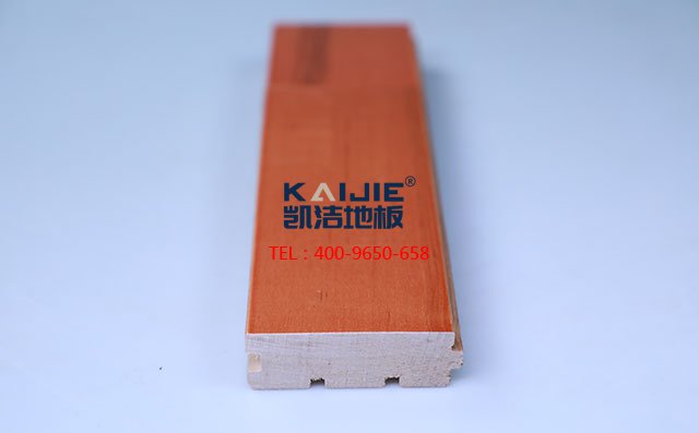5566中文字幕亚洲精品 枫桦木B级板运动木地板——凯洁地板