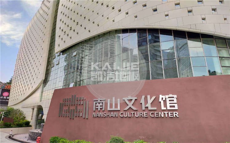 深圳南山文化馆全明星篮球俱乐部
